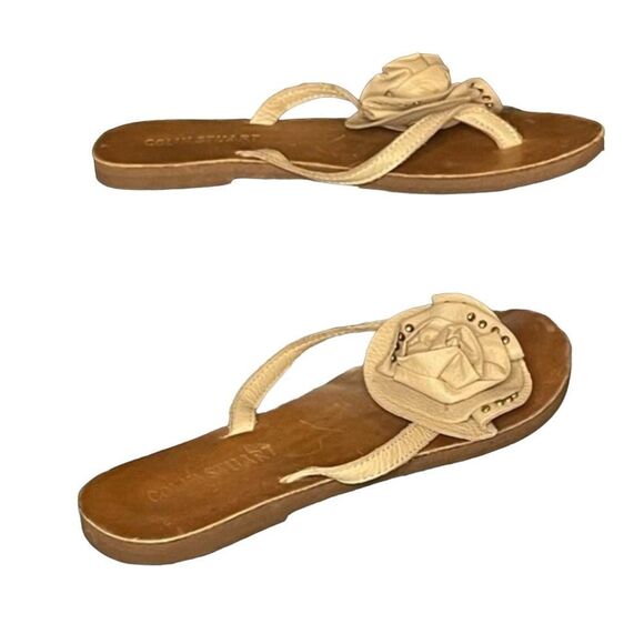 Colin Stuart - Picture 4 of 6